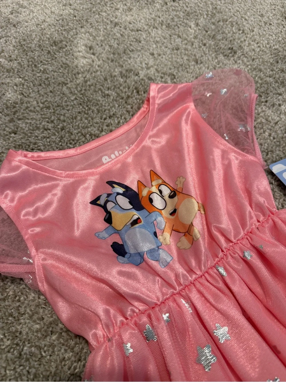 Bluey Themed Pink Mesh Girls Nightgown